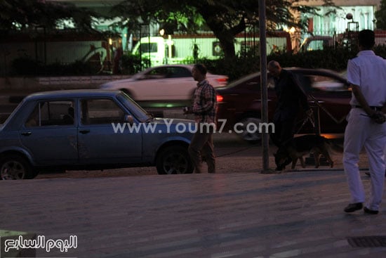 اليوم السابع -8 -2015